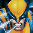 Wolverine Busca y Destruye